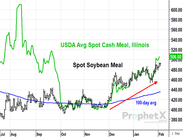 Soybean Meal Price Per Bag industry insight