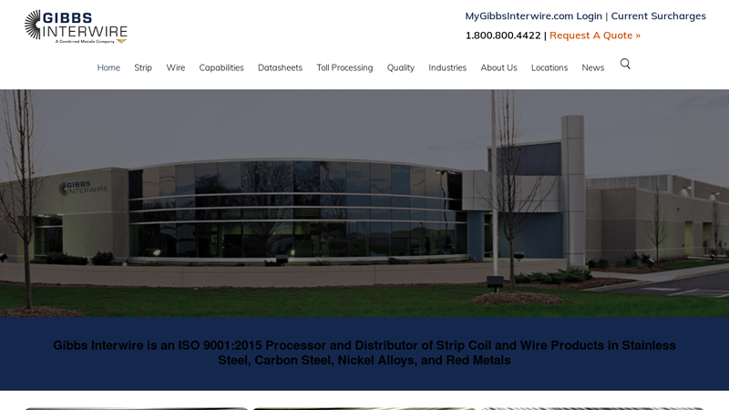 Stainless Steel Strip