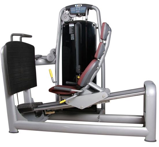 Standing Leg Press Machine industry insight