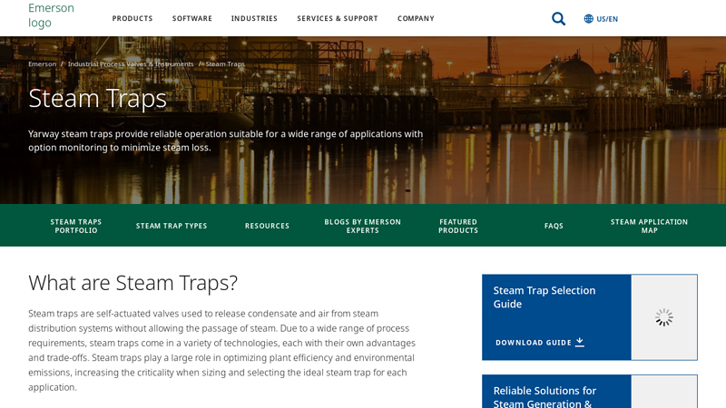Steam Traps