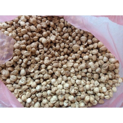 Supplier White Cardamom Indonesia High Quality #1