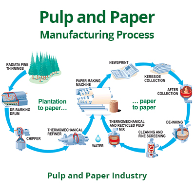 Synthetic Paper industry insight