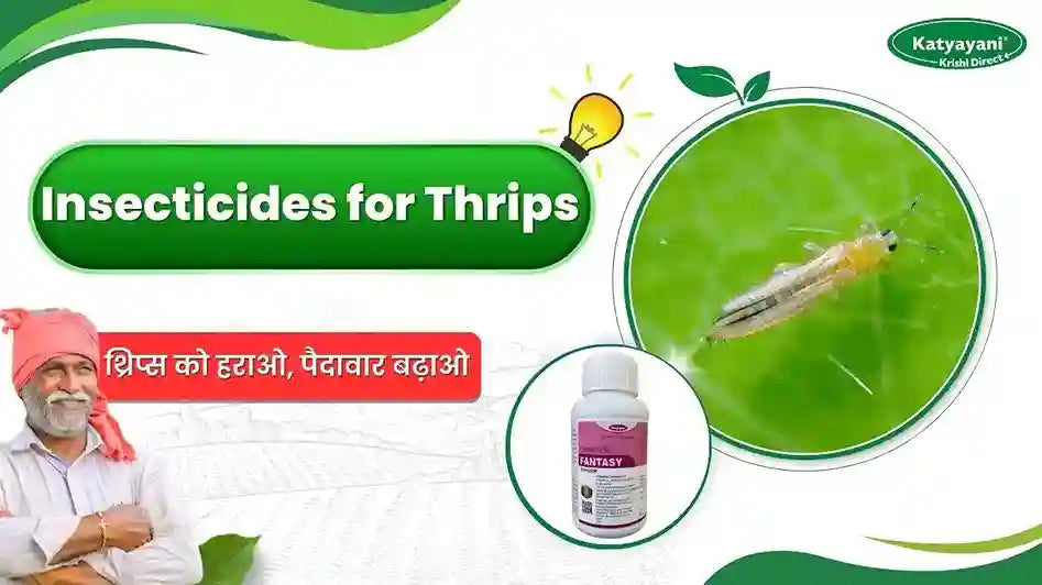 Systemic Insecticide For Thrips industry insight
