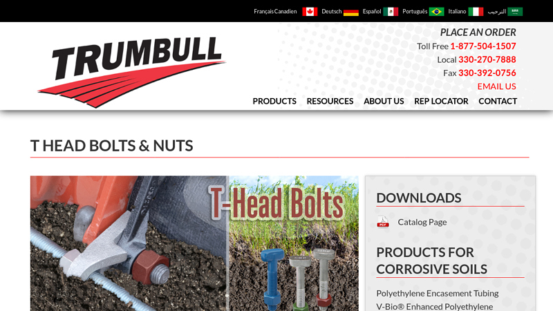 T Head Bolts & Nuts