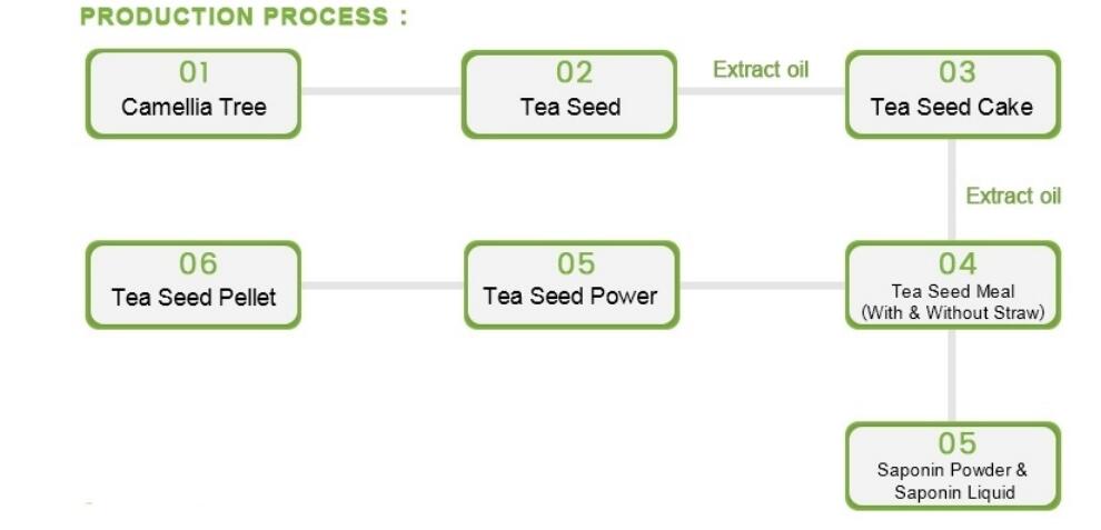 Tea Seed Meal industry insight