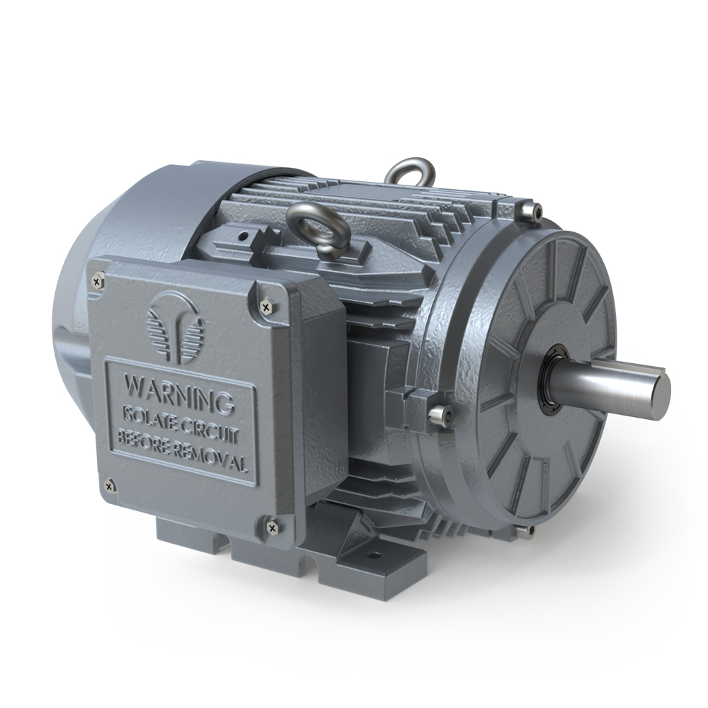 TECHTOP Electric Motors