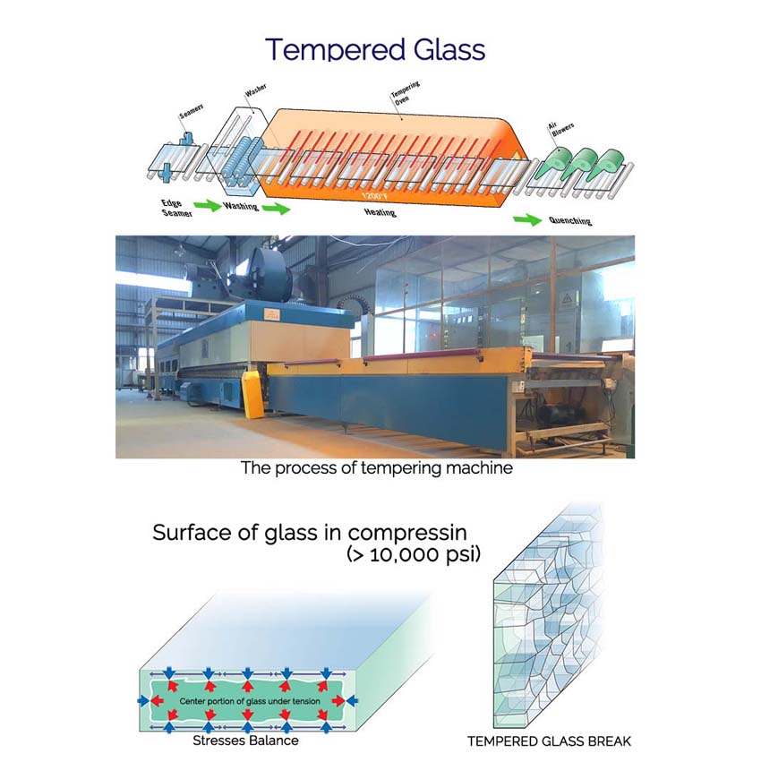 Tempured Glass industry insight