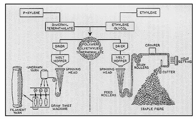 Terylene Material industry insight