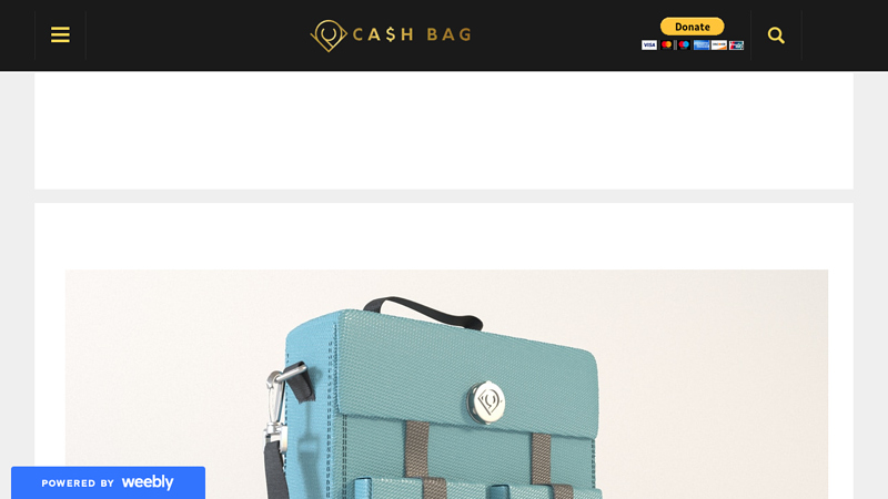 THE CASH BAG