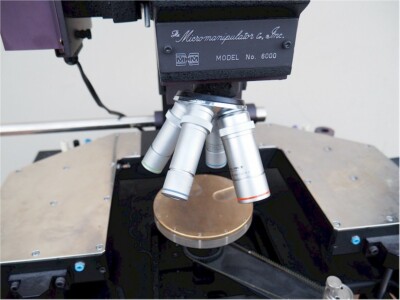 The Micromanipulator Company