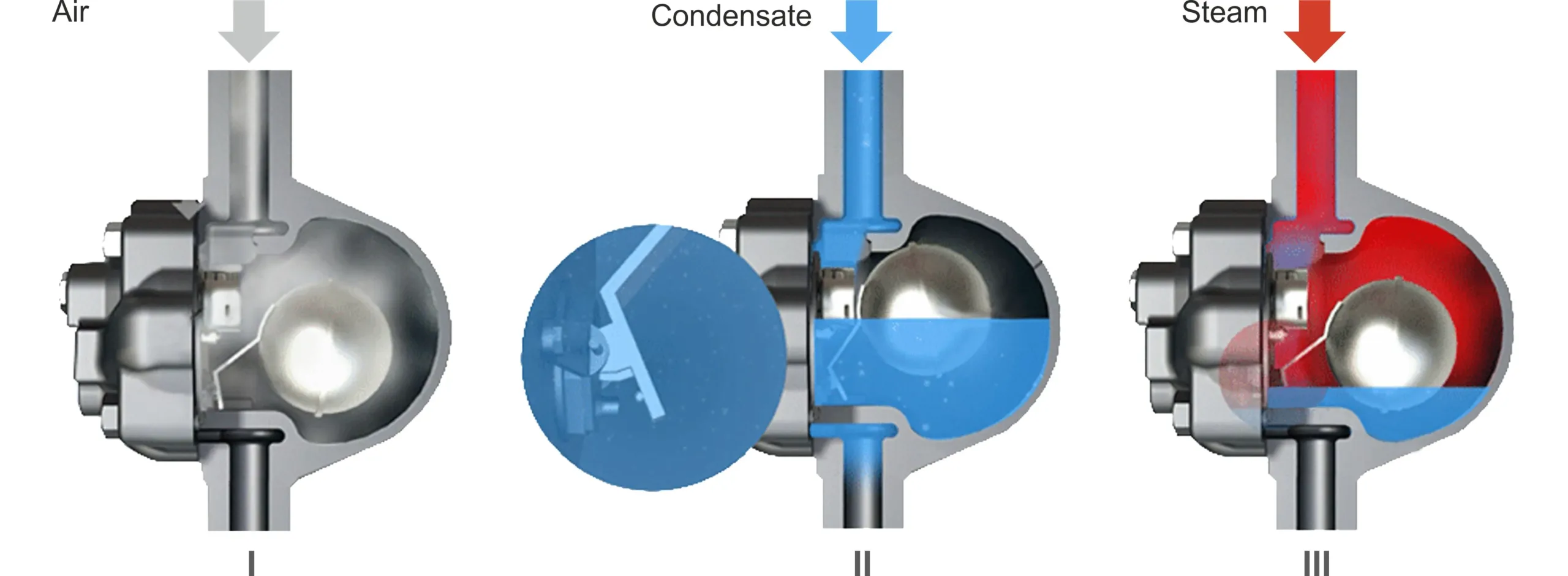 Thermodynamic Steam Trap industry insight