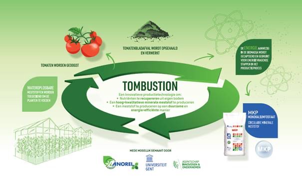 Tomato Fertilizer Organic industry insight
