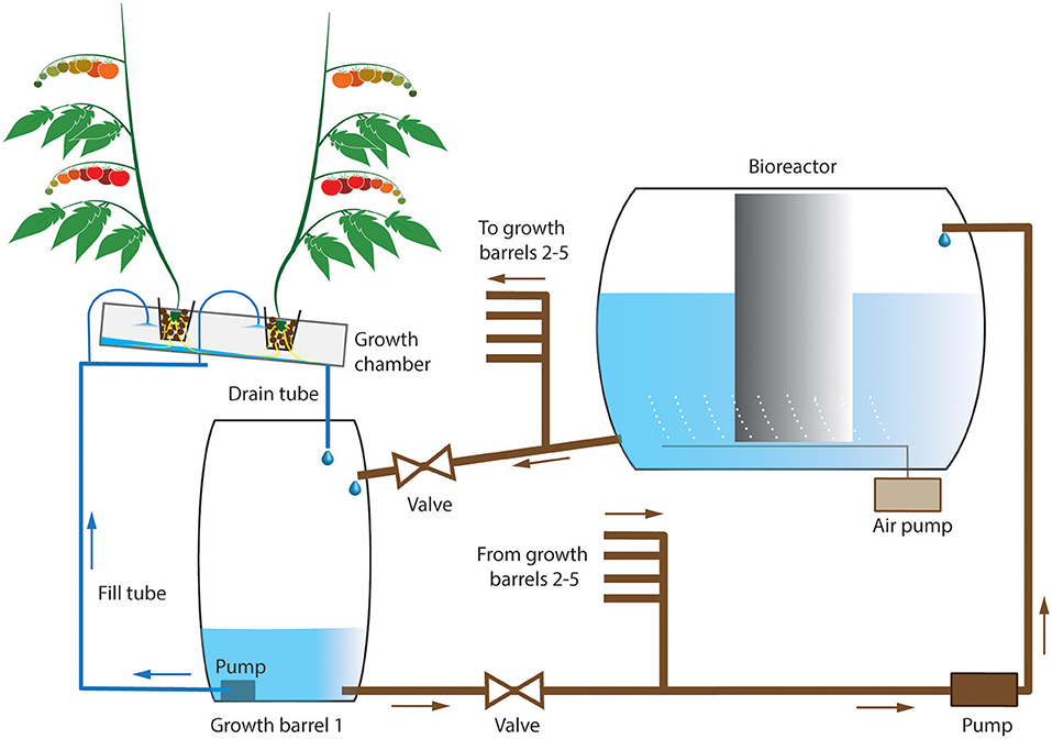Tomato Fertilizer Organic industry insight