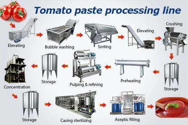 Tomato Pulping Machine industry insight