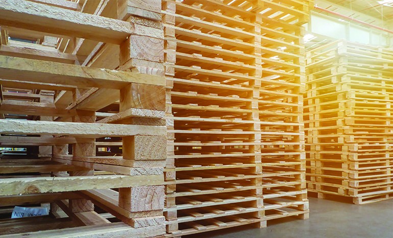 TRANS PALET SRL company data, VAT number 48867504, financials