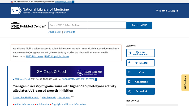 Transgenic rice Oryza glaberrima with higher CPD photolyase ...