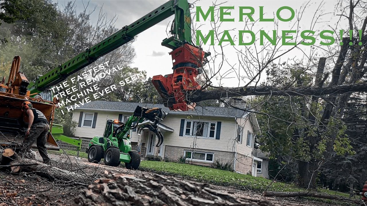 Tree Trimming Equipment industry insight