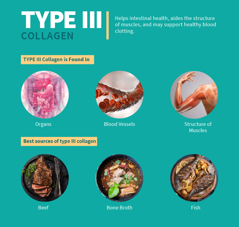 Ultimate Guide To All The Types Of Collagen