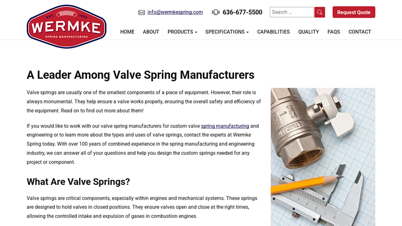 Valve Spring Manufacturers