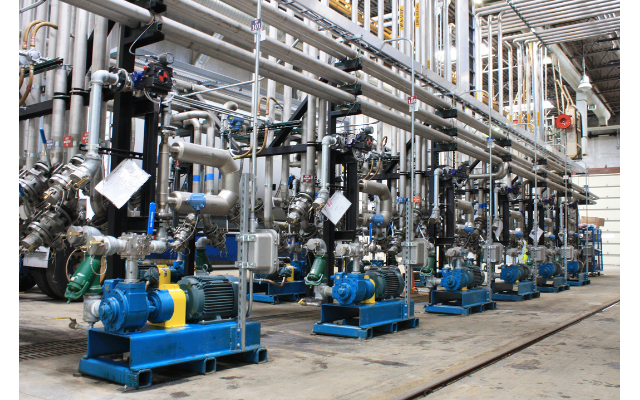 Vane Type Pump industry insight