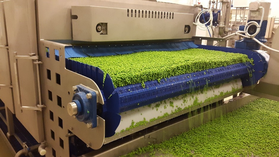 Vegetable Blancher industry insight