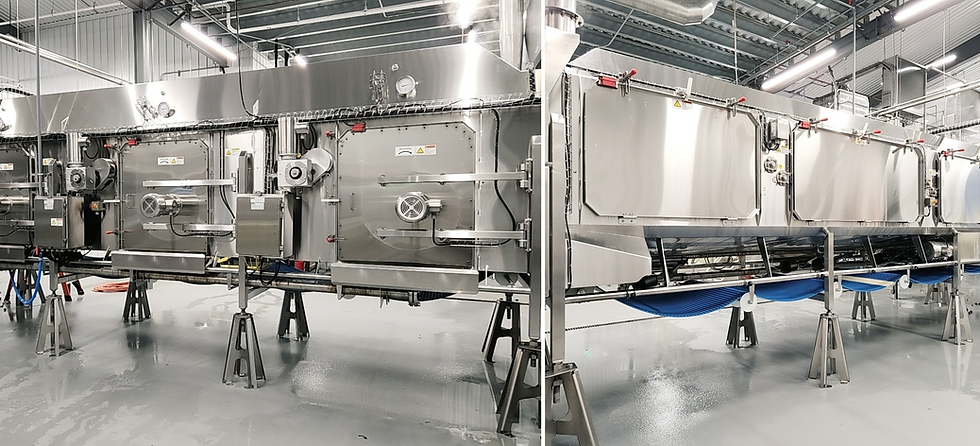 Vegetable Blancher industry insight
