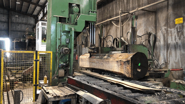 Veneer Burr Walnut industry insight