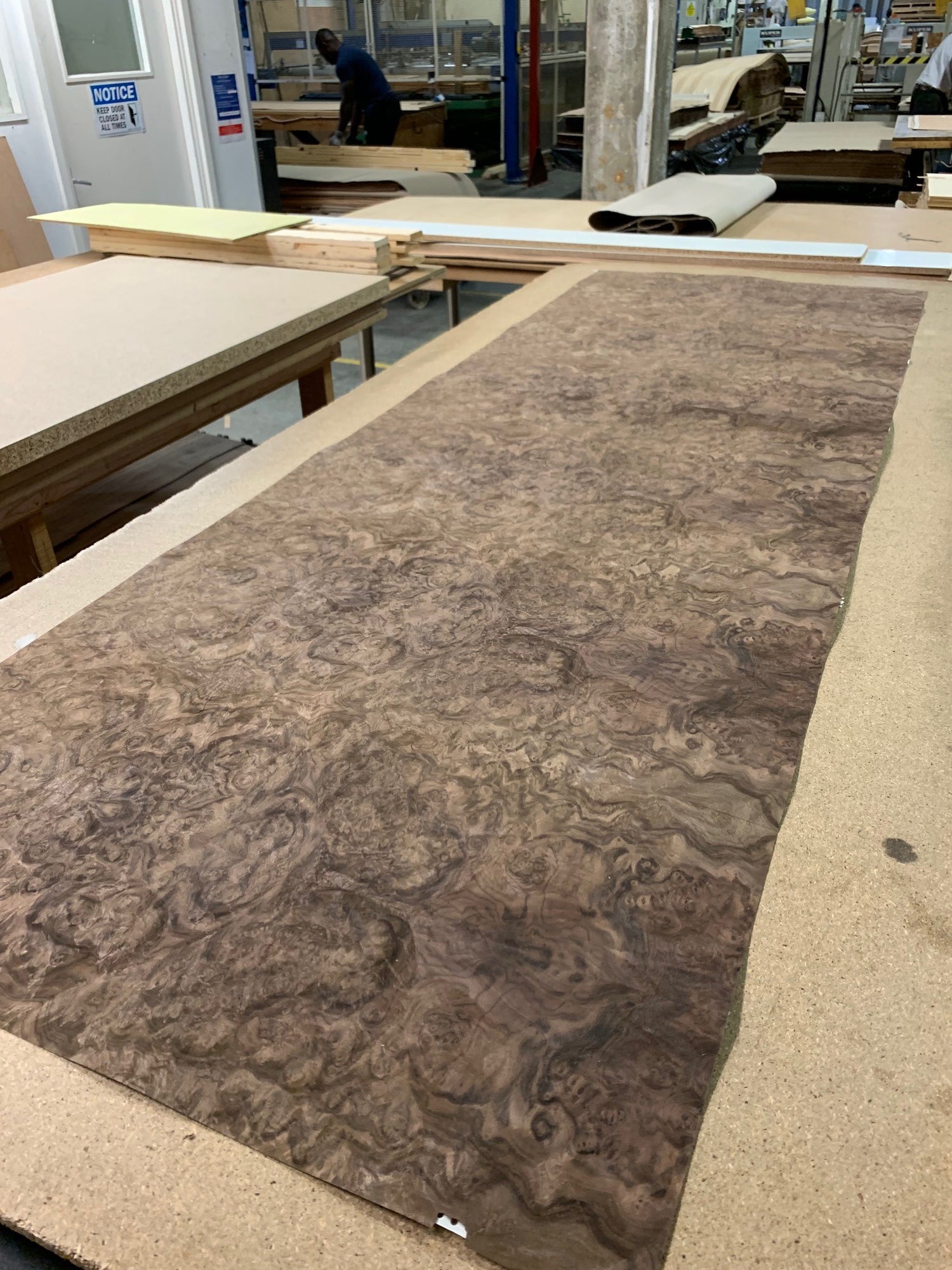 Veneer Burr Walnut industry insight