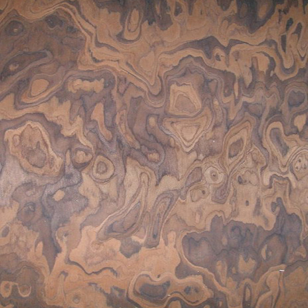 Veneer Walnut Burl 0.60 mm