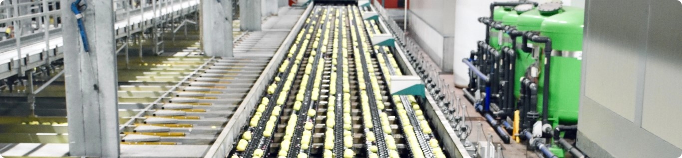 Vibration Monitoring System industry insight