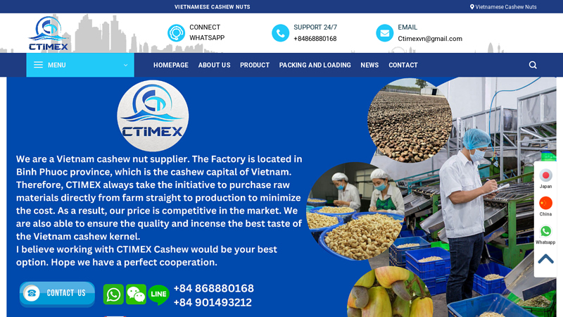 Vietnamese Cashew Nuts