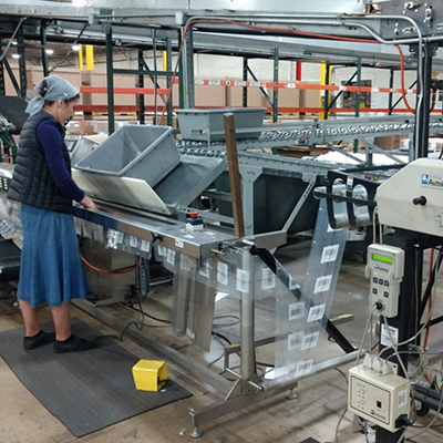 Vista Packaging Logistics industry insight