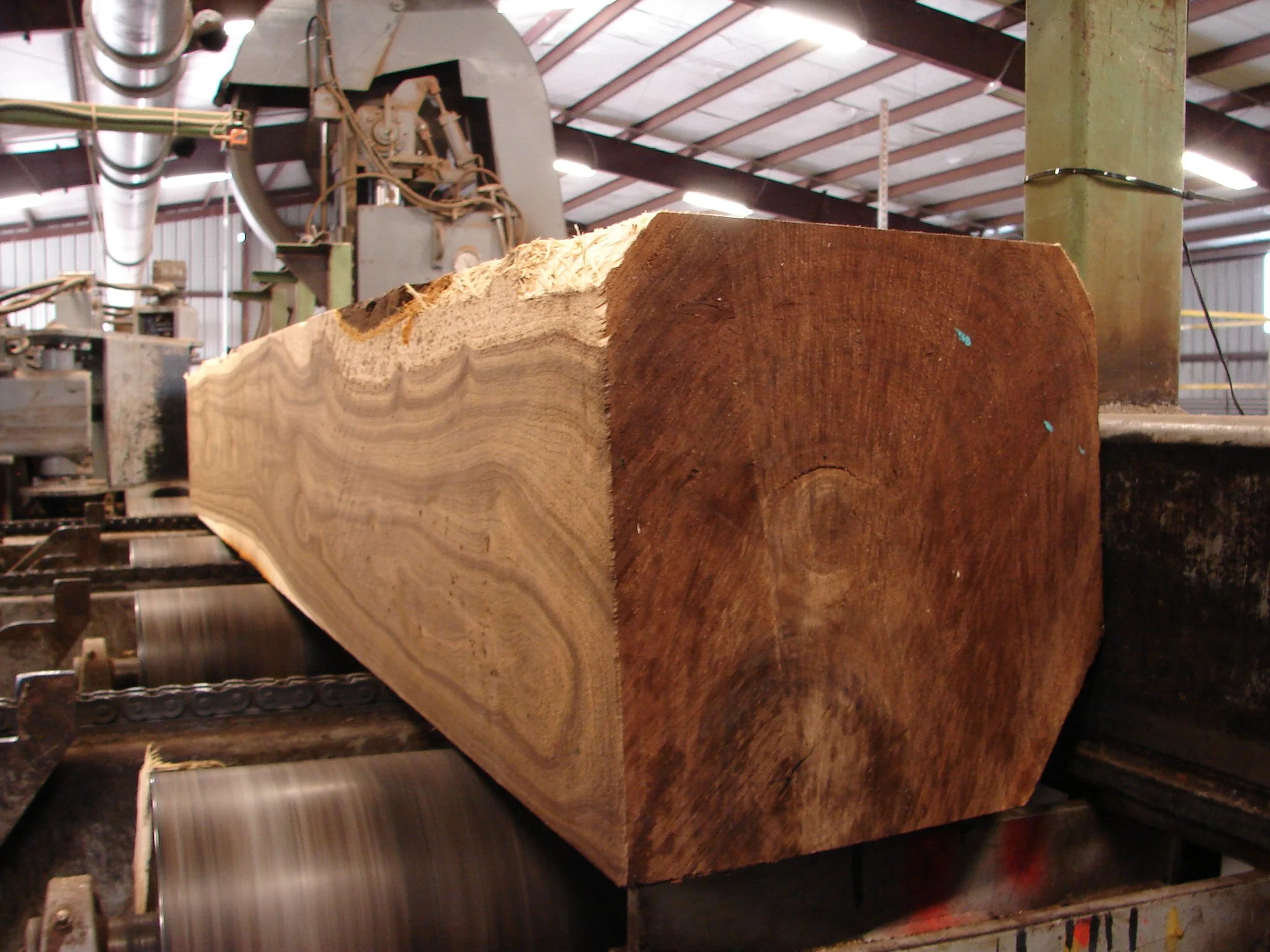 Walnut Logs industry insight