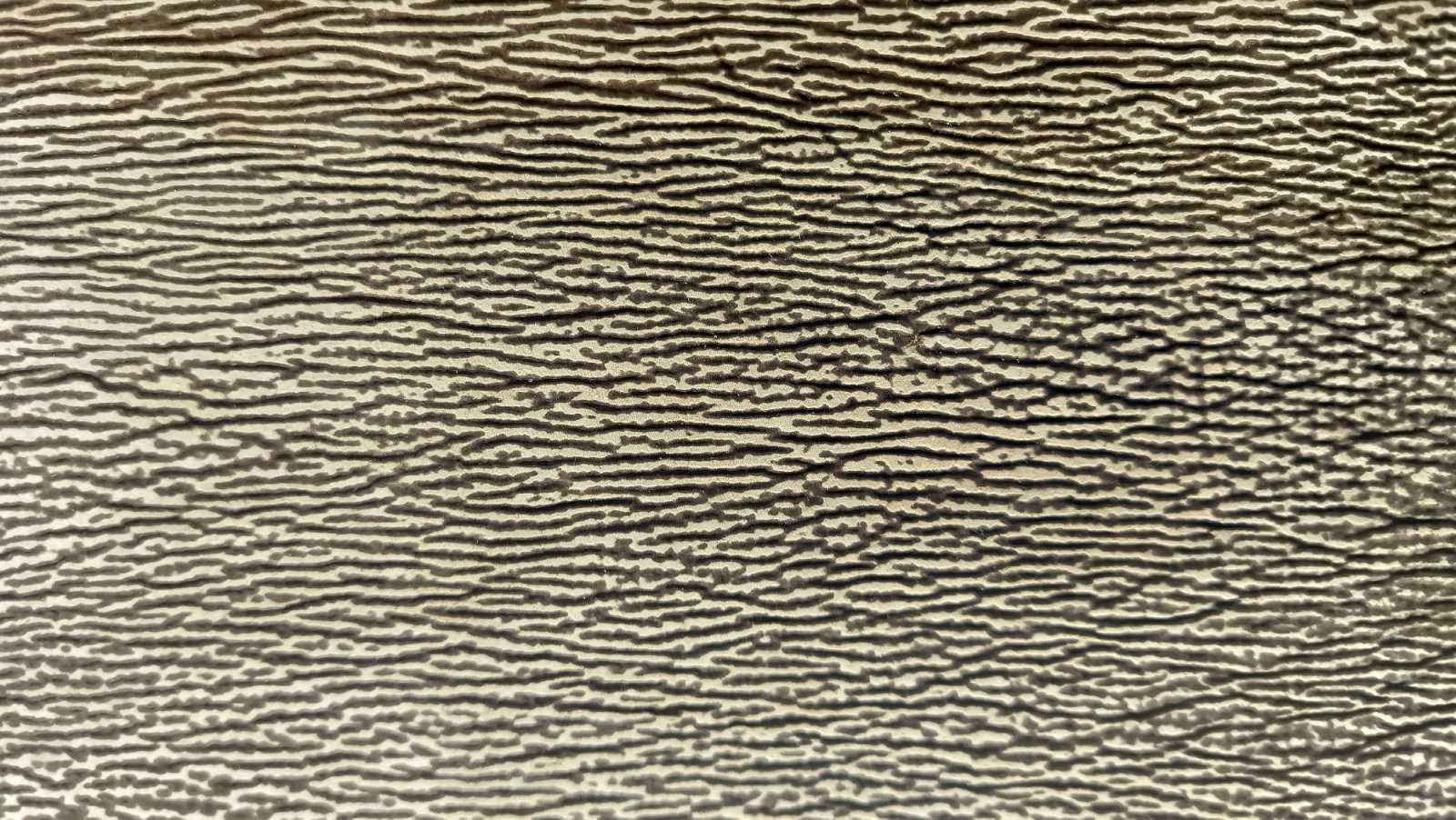 What Should You Know About Shark Leather