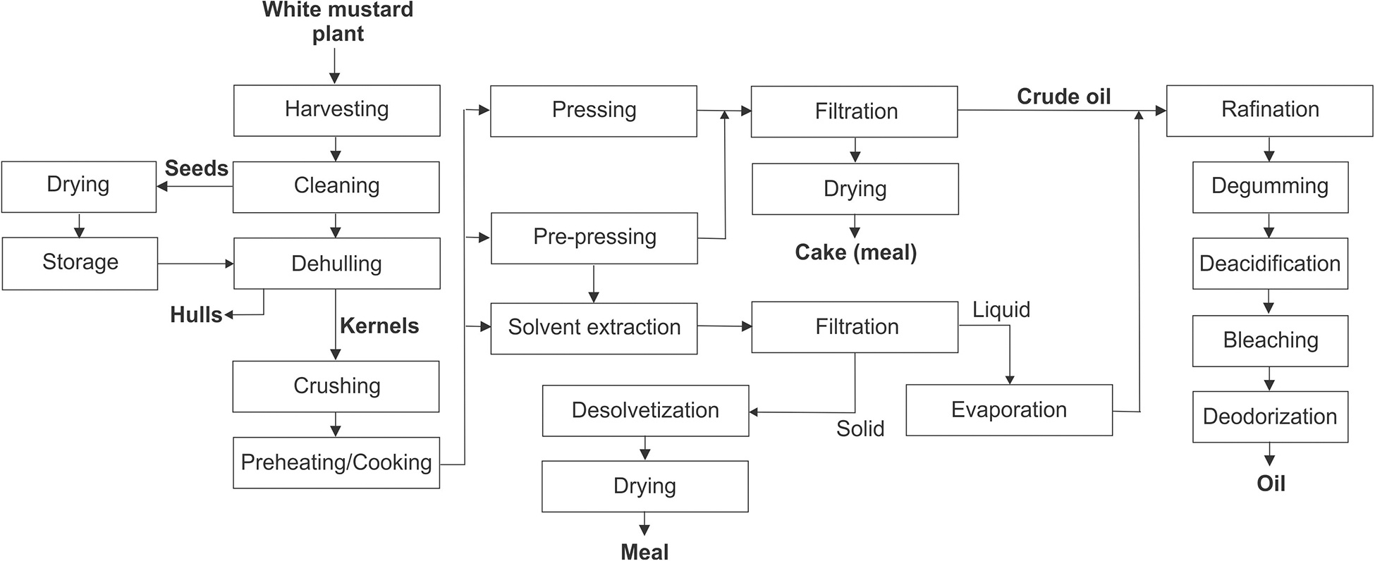 White Mustard Seeds industry insight