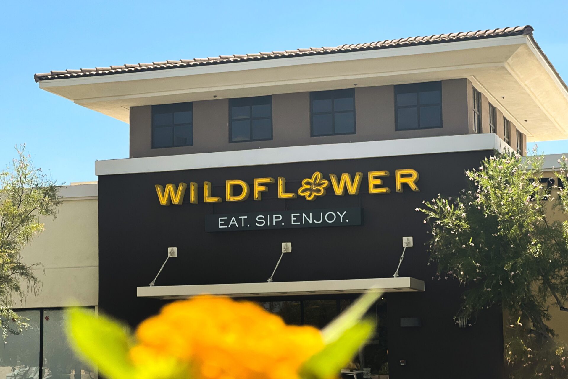 Wildflower