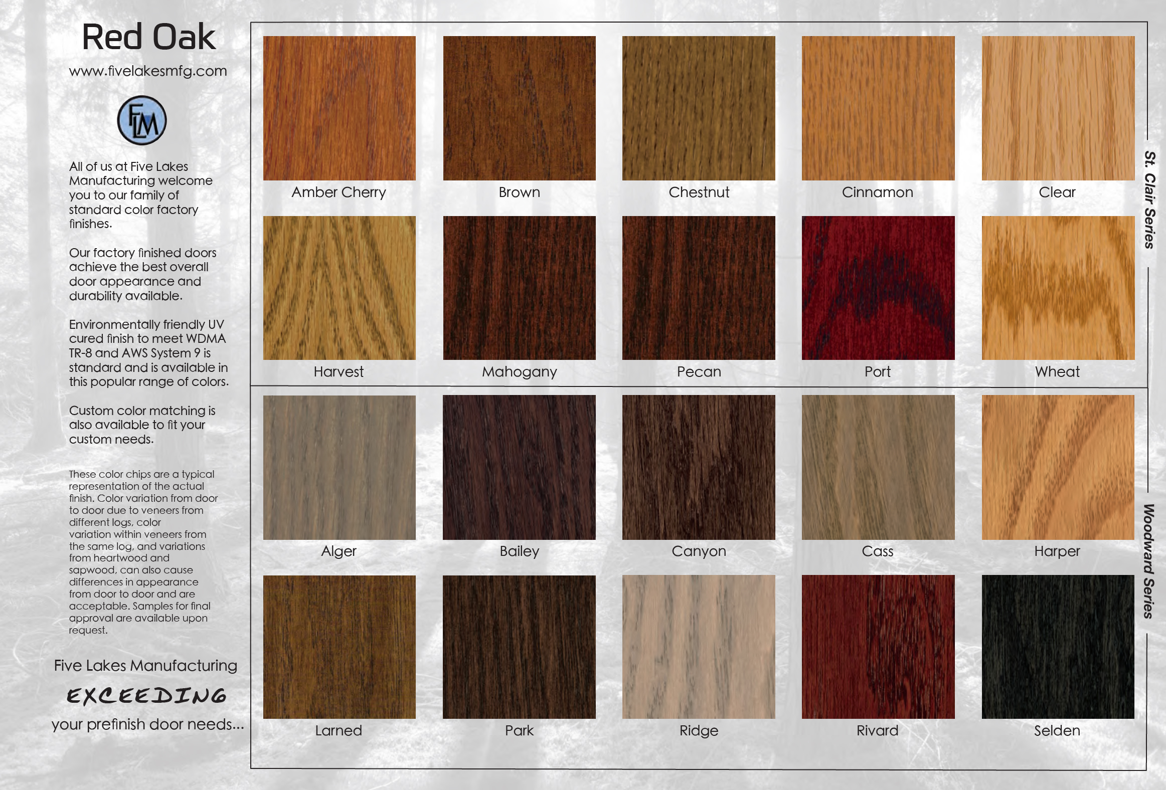 Wood Varnish Colors industry insight