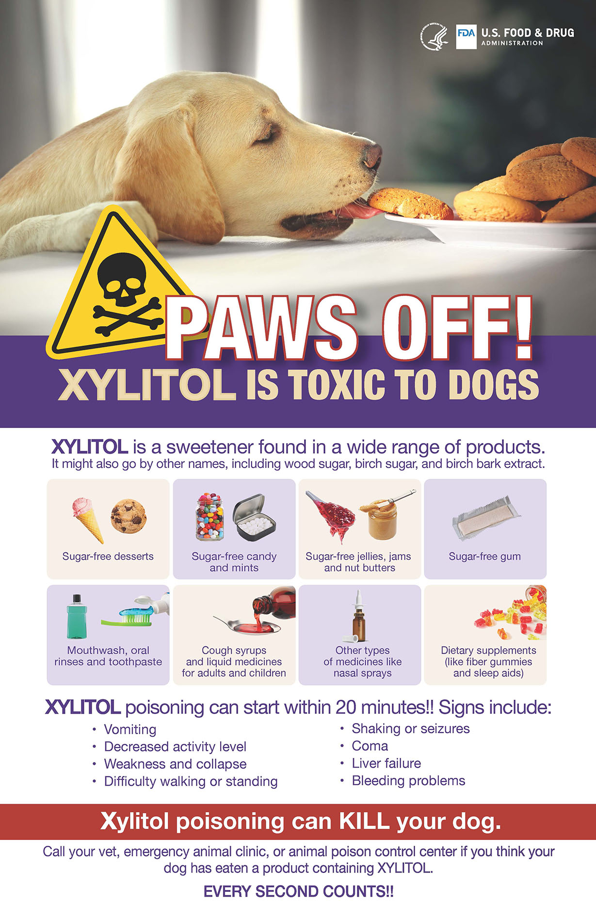 Xylitol Toxicity in Dogs