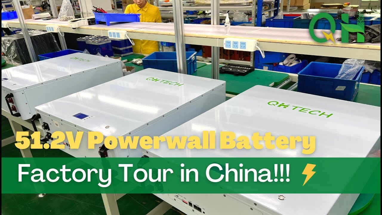 Ziva Pro Battery industry insight